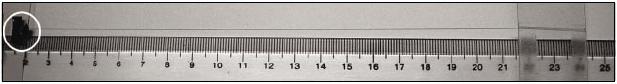 perst22_2a.jpg (12280 bytes)