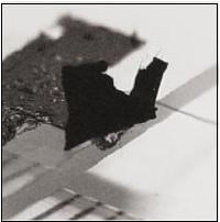 perst22_2b.jpg (6750 bytes)