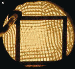 3_09_5.gif (31936 bytes)