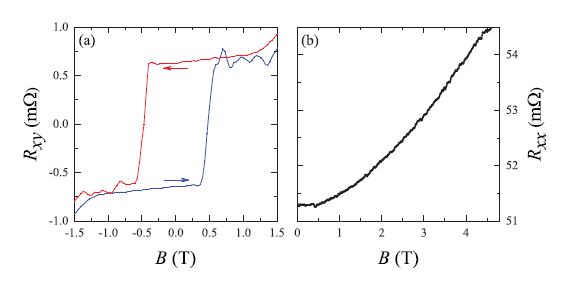 Anomalous Hall in Co3Sn2S2